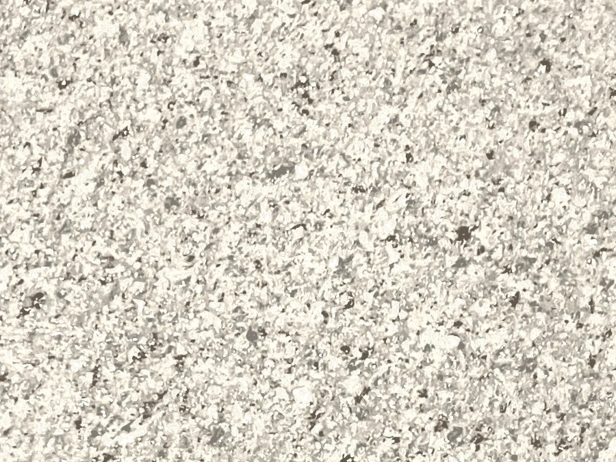 Coastal Granite Oyster Shell blend, close-up view.